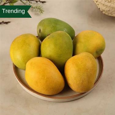 Ratnagiri Alphonso (Jumbo Size)