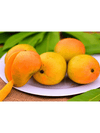 Devgad Alphonso (Jumbo Size)