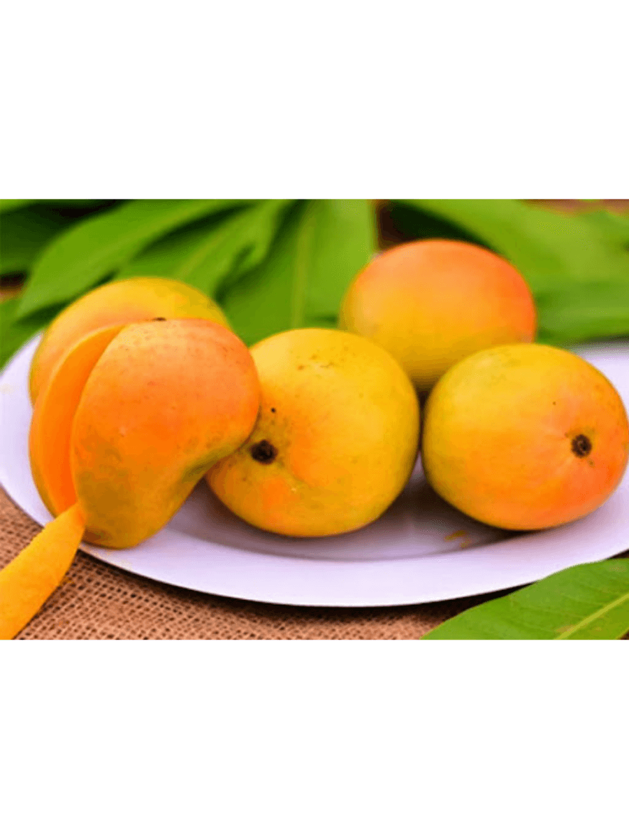 Devgad Alphonso (Jumbo Size)